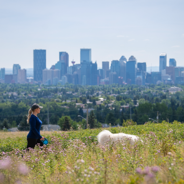 Explore city views from Nose Hill Park 10 minutes away