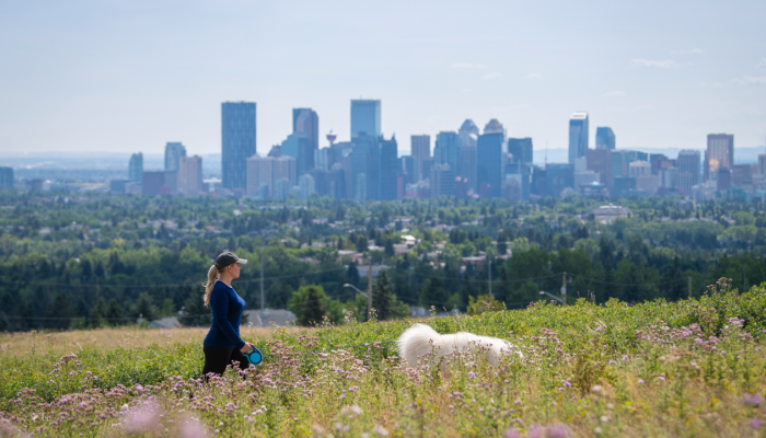 Explore city views from Nose Hill Park 10 minutes away